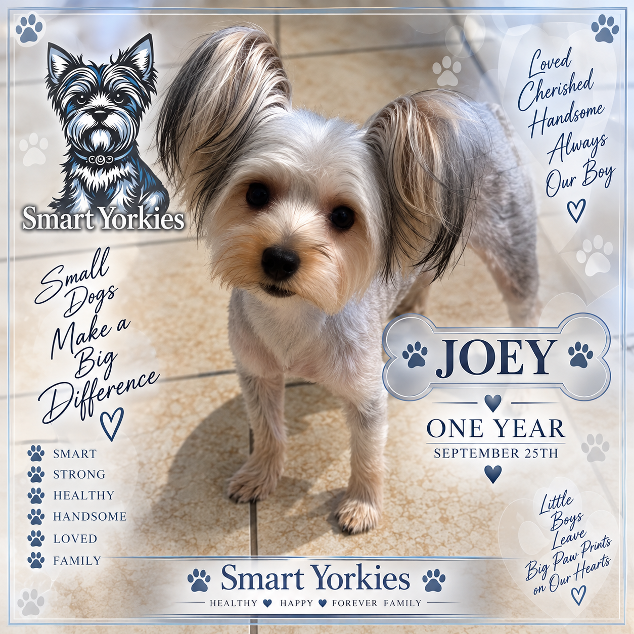 Joey